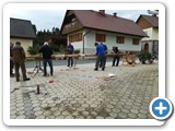 IMG-20190501-WA0008