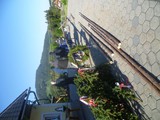 P1100466 (mai15)
