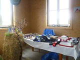 P1100618 (strfest16)